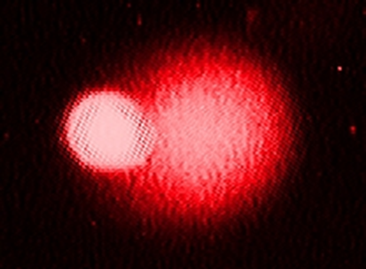 Figure 2.3.3: Imaging comet assay. Source of image: https://npc.univie.ac.at/en/research/lab-equipment/techniques/comet/