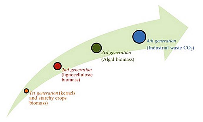 Figure 3.2.1. Bioethanol feedstocks classification