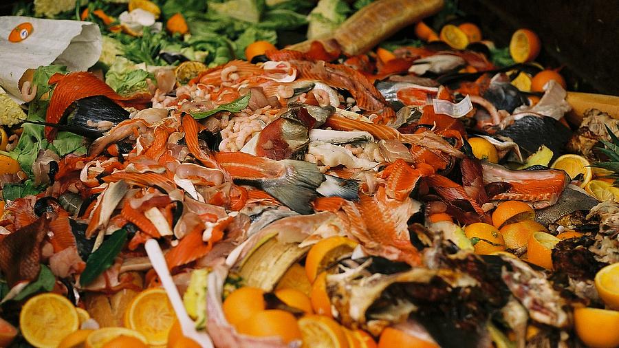 Food scraps to become dairy and meat substitutes