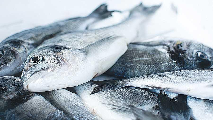 The potential use of Gilthead Sea Bream side-streams in the food industry